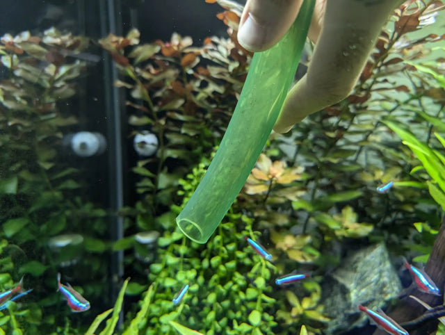 L'entretien de votre aquarium : guide complet