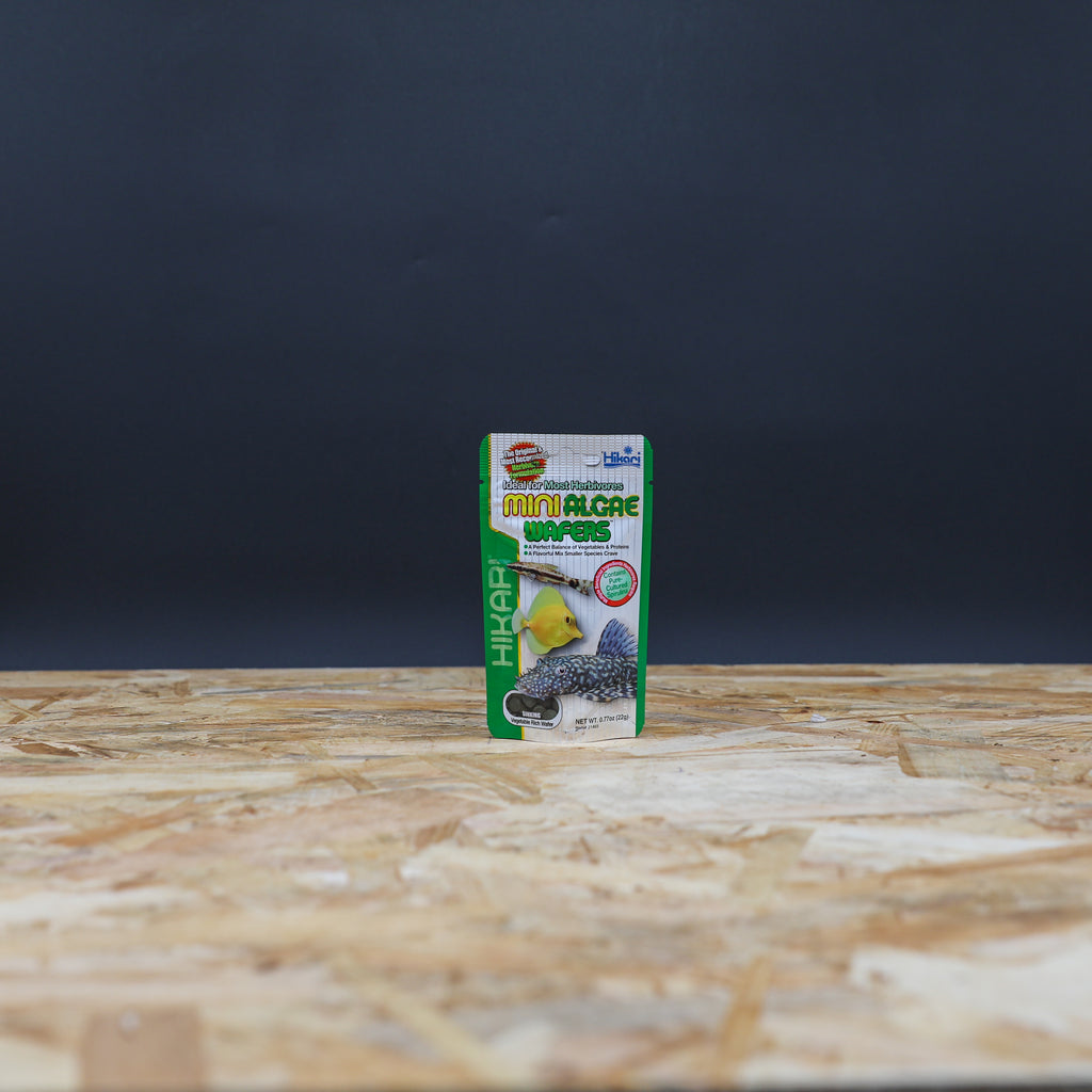Nourriture herbivores - Hikari Mini Algae Wafers 22g