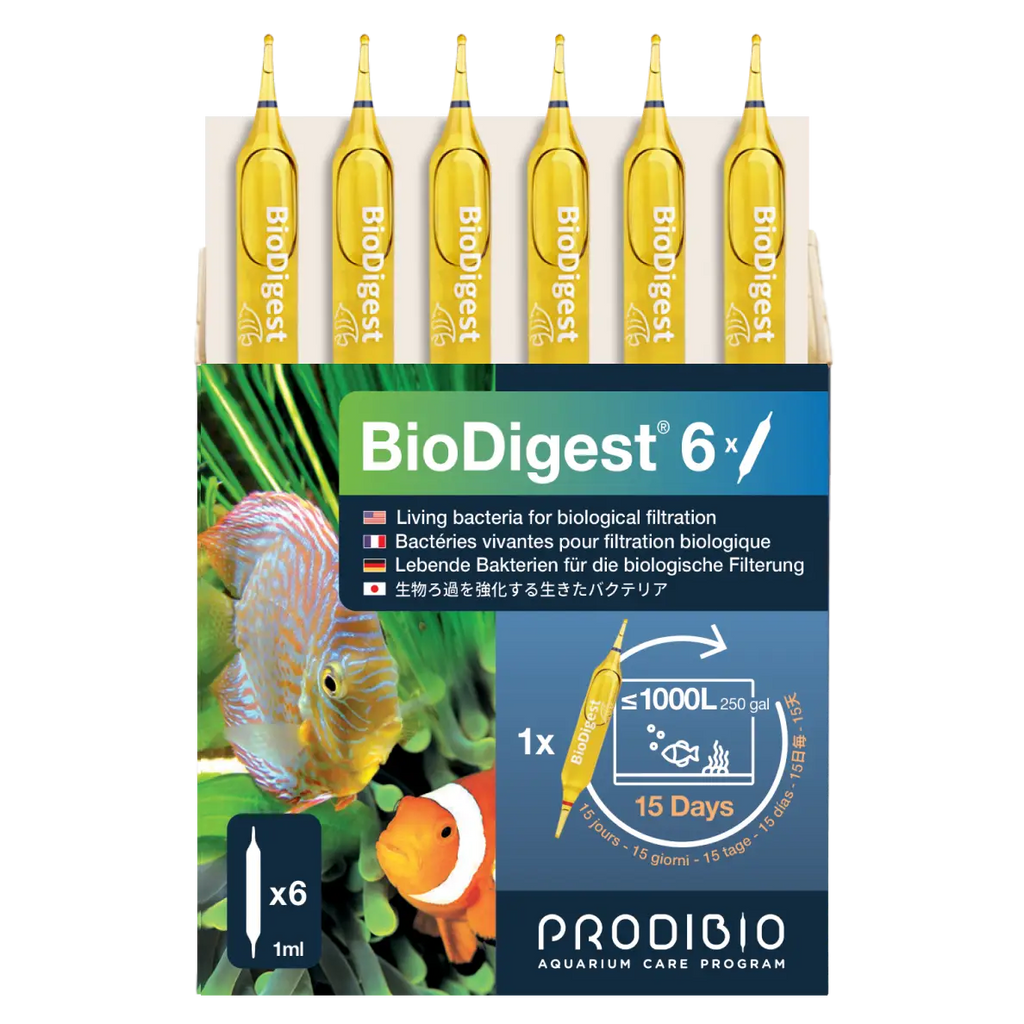 BACTERIE - BIODIGEST X6 AMPOULES