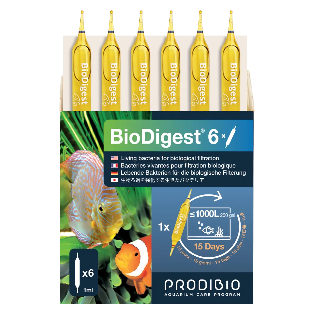 BACTERIE - BIODIGEST X6 AMPOULES