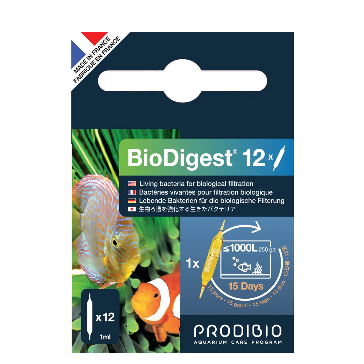 BACTERIE - BIODIGEST X12 AMPOULES