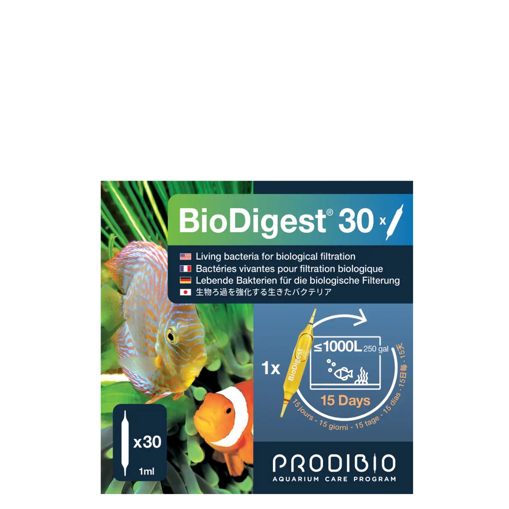 BACTERIE - BIODIGEST X30 AMPOULES