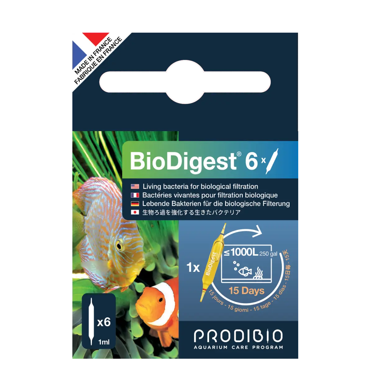 BACTERIE - BIODIGEST X6 AMPOULES