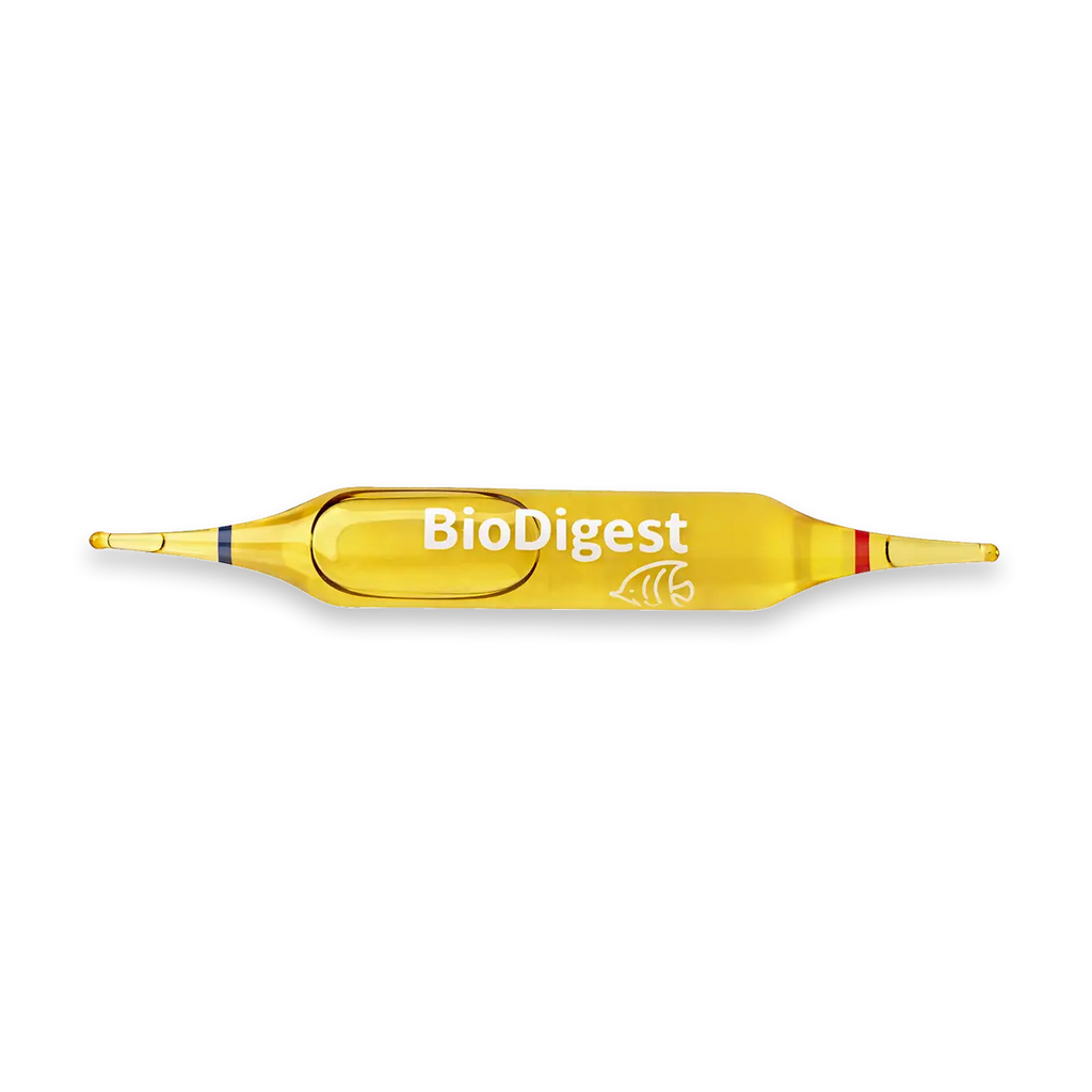 BACTERIE - BIODIGEST X12 AMPOULES