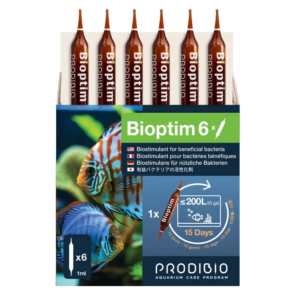 BACTERIE - BIOPTIM X6 AMPOULES