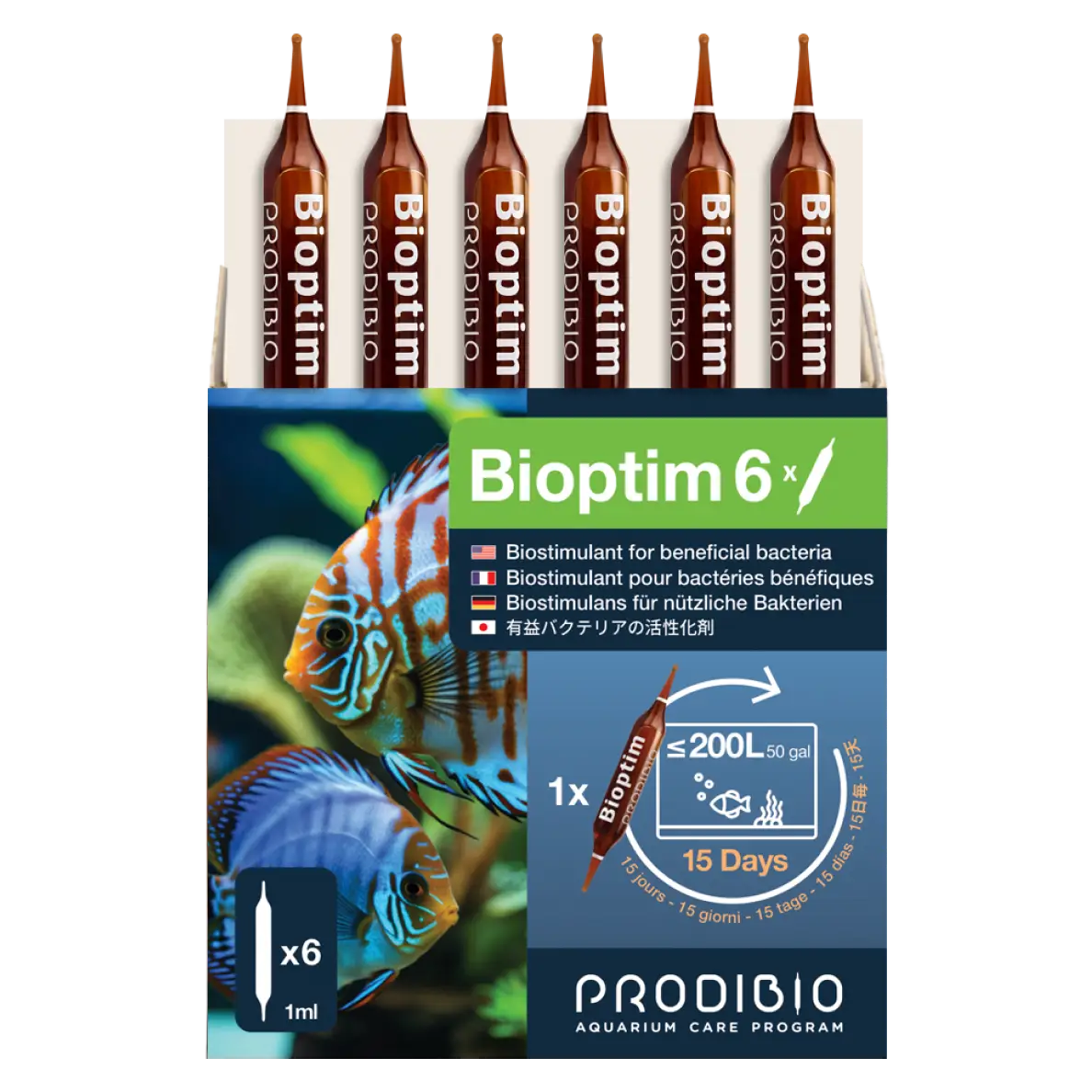 BACTERIE - BIOPTIM X6 AMPOULES
