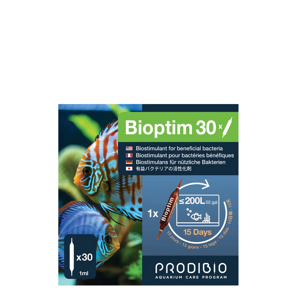 BACTERIE - BIOPTIM X30 AMPOULES