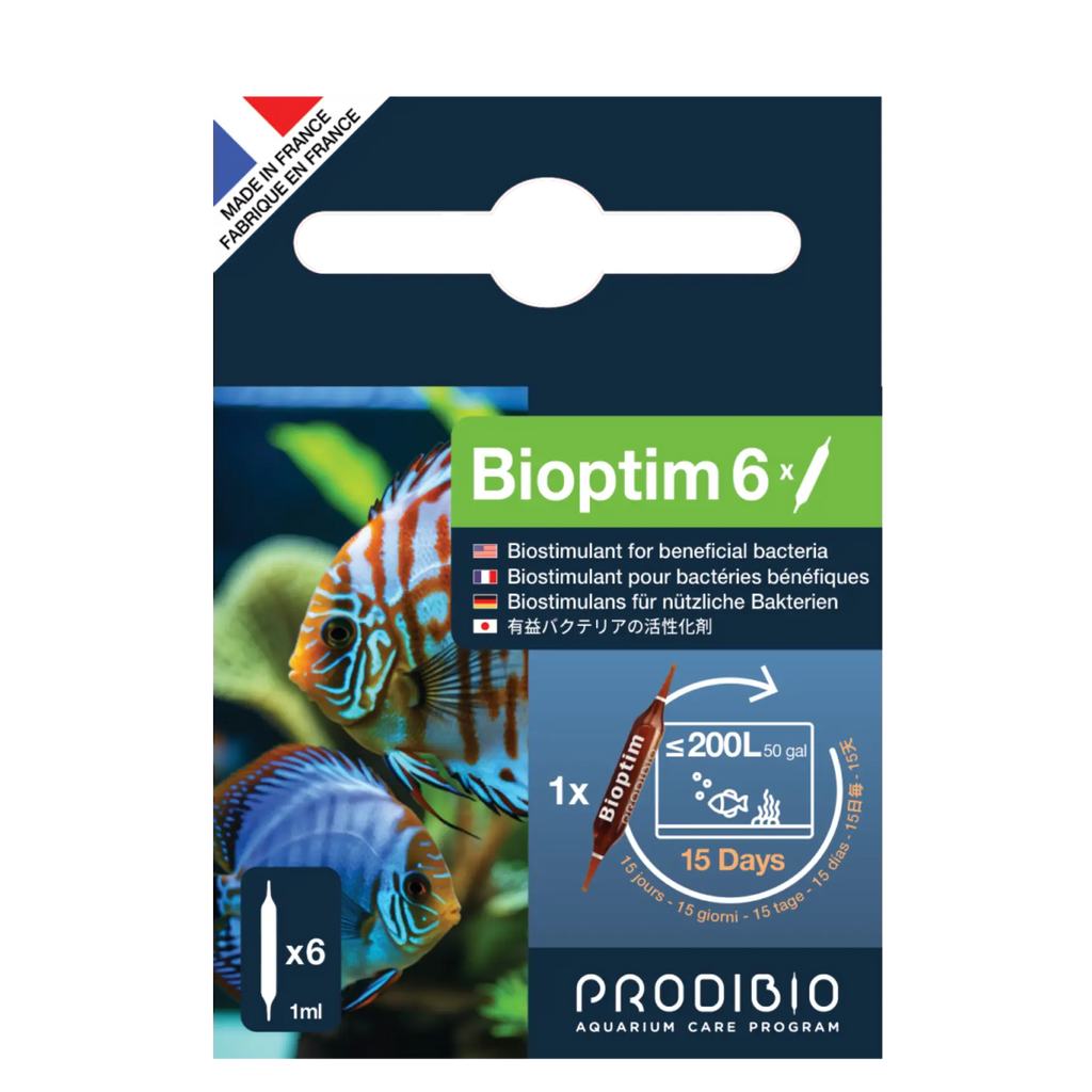 BACTERIE - BIOPTIM X6 AMPOULES