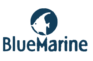 Blue Marine