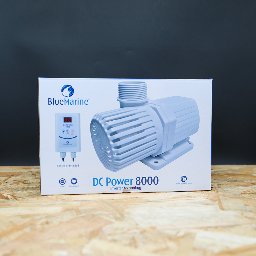 Pompe de remontée - Blue Marine DC Power 8000