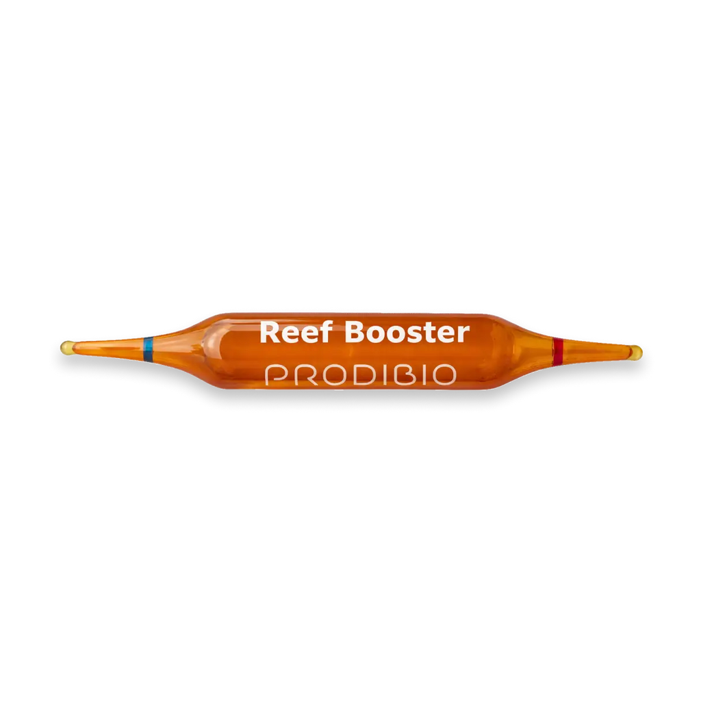 BACTERIE - REEF BOOSTER X30 AMPOULES