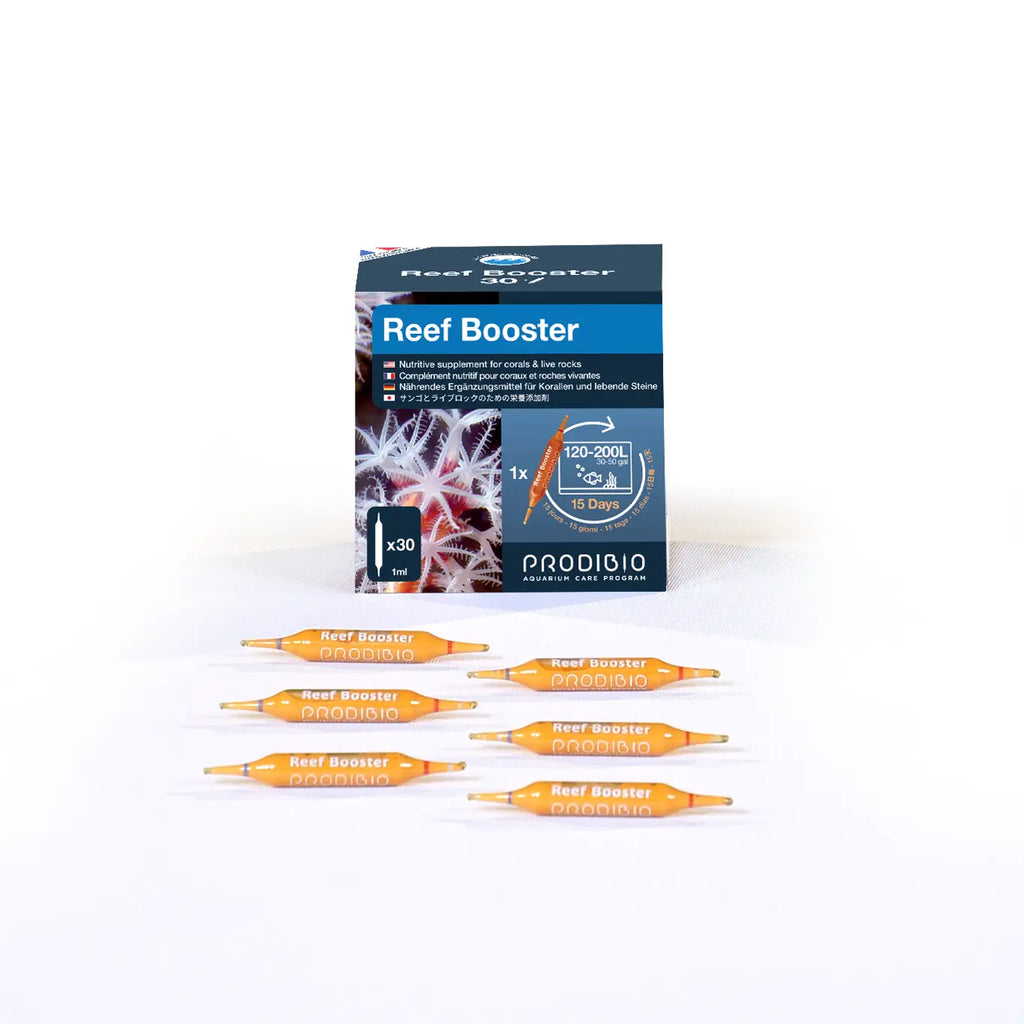 BACTERIE - REEF BOOSTER X30 AMPOULES