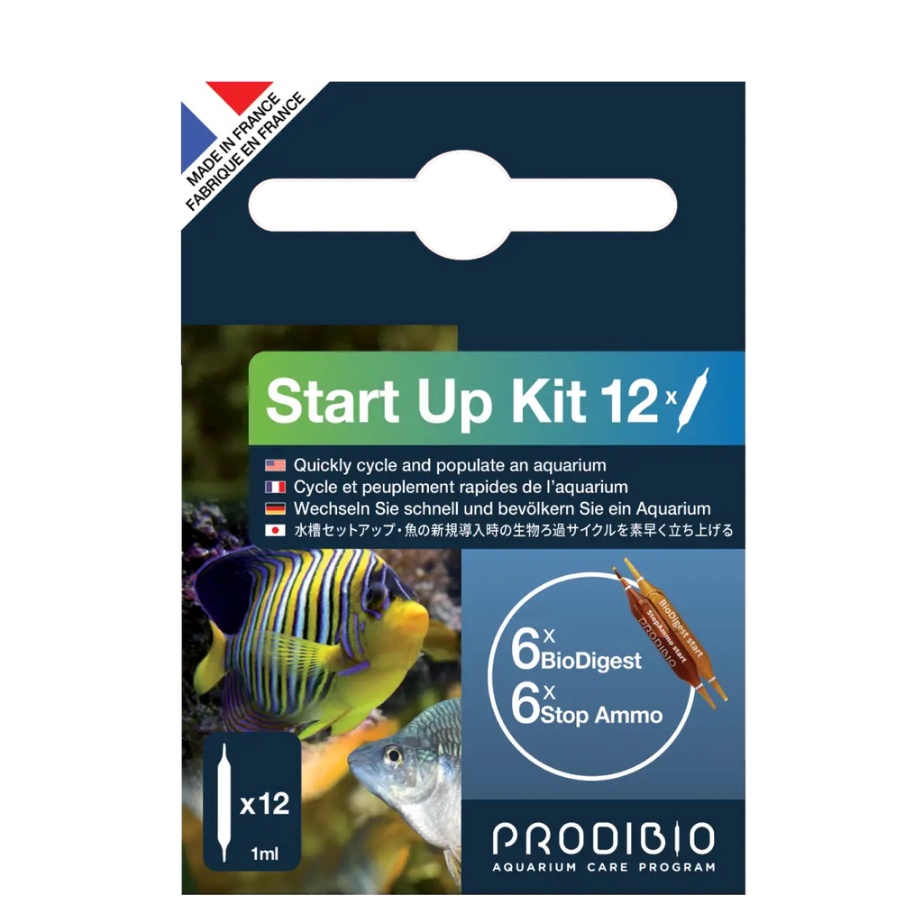 DEMARRAGE AQUARIUM - START UP X12 AMPOULES