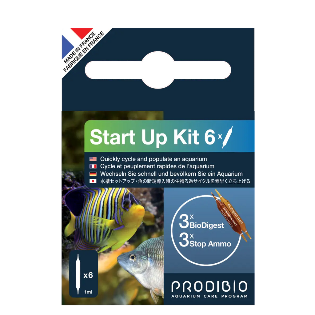 DEMARRAGE AQUARIUM - START UP X6 AMPOULES