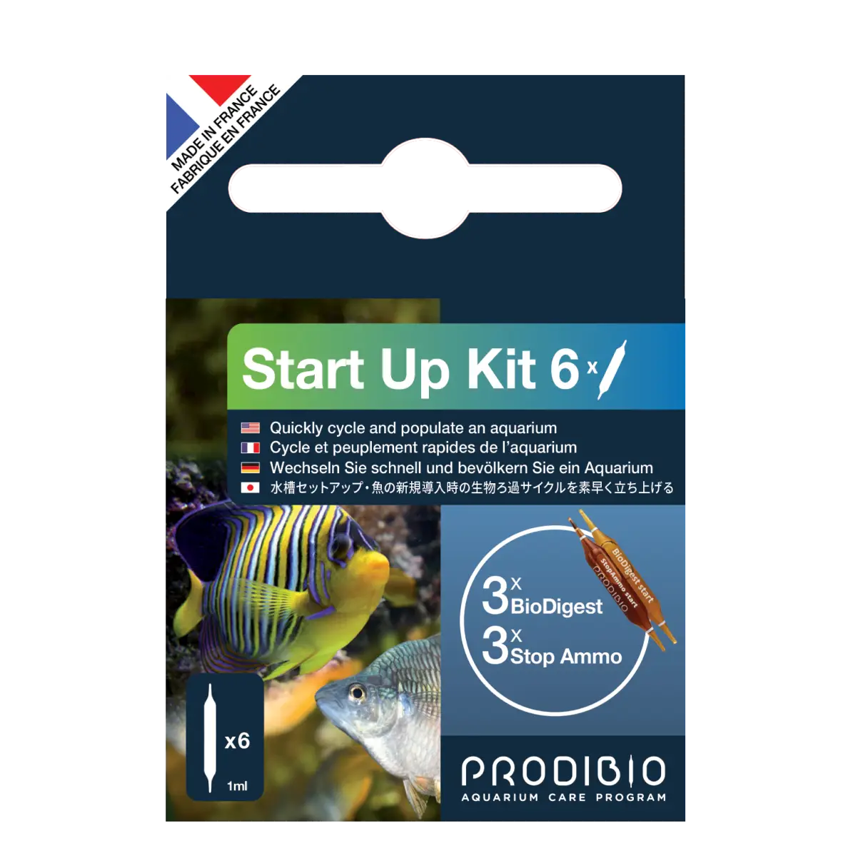DEMARRAGE AQUARIUM - START UP X6 AMPOULES