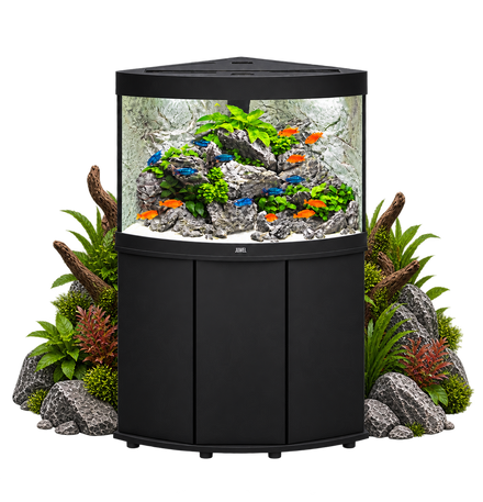 Composez votre aquarium sur mesure, en 2 minutes