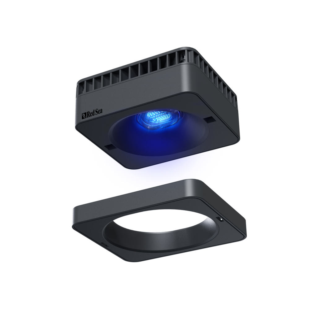 ÉCLAIRAGE - REEFLED G2 115 VISIÈRE CLIPSABLE