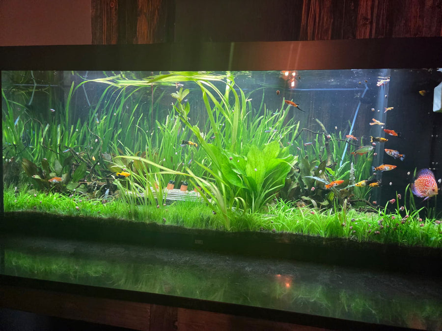 450 Litres
