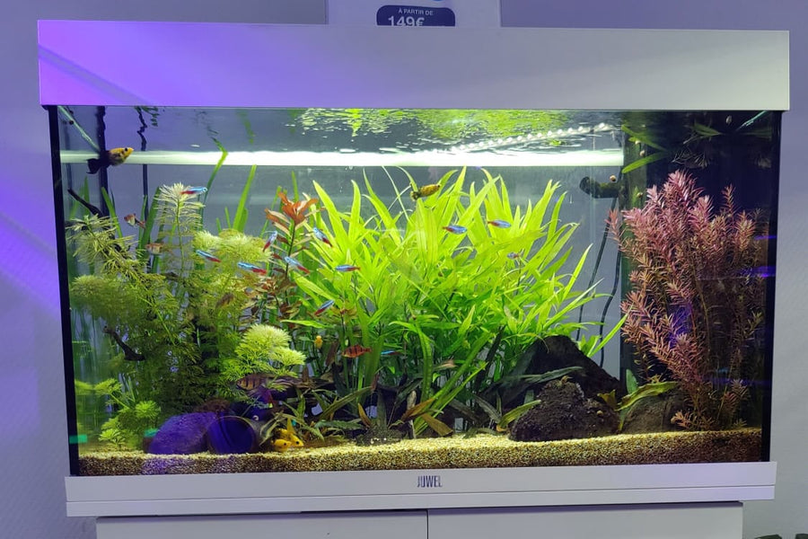 125 Litres