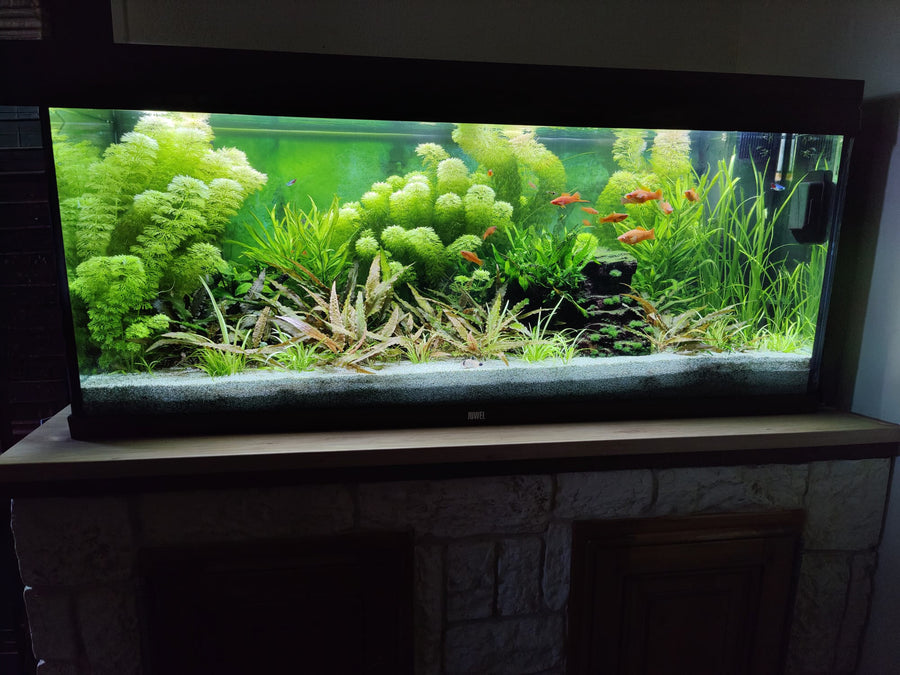 240 Litres