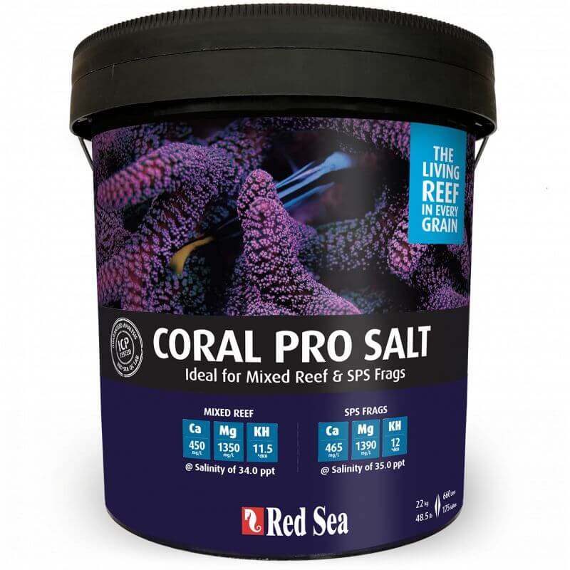 SEL - RED SEA SALT 20 KG SCEAU (660 LITRES)